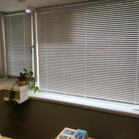 Sentrum, Uten Dusj Appartement *